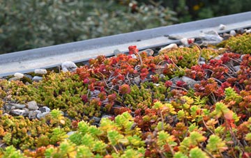 the cost of Meeson Heath green roof installation